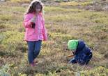 IMG_2032 (1280x853).jpg (125130 bytes)